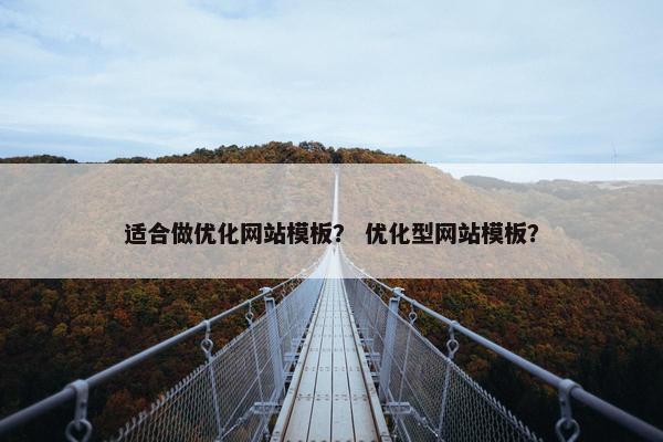适合做优化网站模板？ 优化型网站模板？