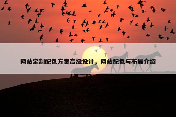 网站定制配色方案高级设计，网站配色与布局介绍