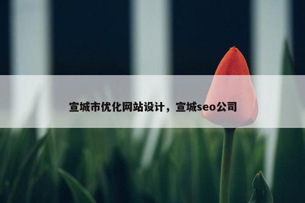 宣城市优化网站设计，宣城seo公司
