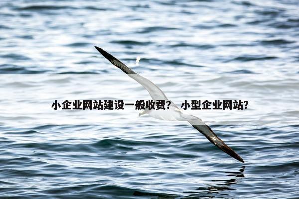 小企业网站建设一般收费？ 小型企业网站？