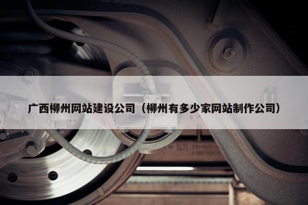 广西柳州网站建设公司（柳州有多少家网站制作公司）