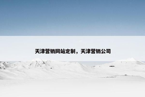 天津营销网站定制，天津营销公司