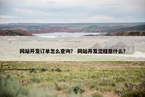 网站开发订单怎么查询？ 网站开发流程是什么？