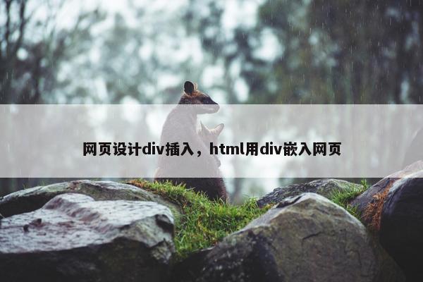 网页设计div插入，html用div嵌入网页