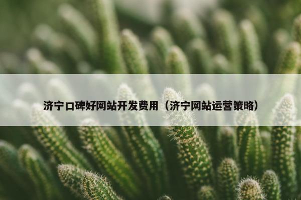 济宁口碑好网站开发费用（济宁网站运营策略）