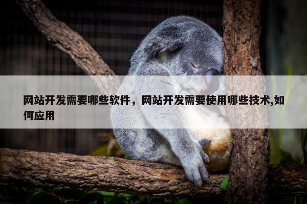 网站开发需要哪些软件，网站开发需要使用哪些技术,如何应用