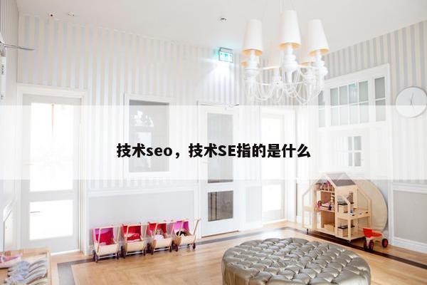 技术seo，技术SE指的是什么