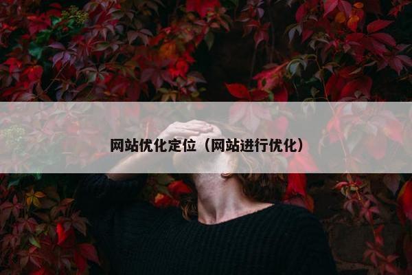 网站优化定位（网站进行优化）