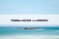 专业网站seo优化托管（seo托管的好处）