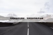 河间网站优化排名，河间信息发布平台群