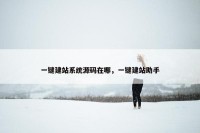 一键建站系统源码在哪，一键建站助手