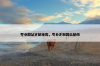 专业网站定制推荐，专业定制网站制作