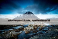 服务好网站设计优化价格，专业做网站优化价格