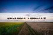 湘潭网站建设软件公司，湘潭网站建设专业公司