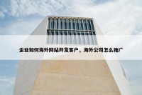 企业如何海外网站开发客户，海外公司怎么推广
