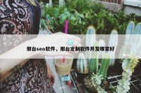邢台seo软件，邢台定制软件开发哪家好