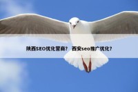 陕西SEO优化营商？ 西安seo推广优化？
