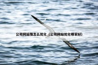 公司网站慢怎么优化（公司网站优化哪家好）