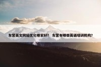 东营英文网站优化哪家好？ 东营有哪些英语培训机构？
