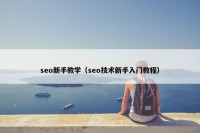 seo新手教学（seo技术新手入门教程）