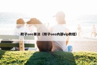 附子seo算法（附子seo内部vip教程）