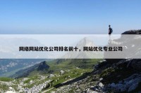 网络网站优化公司排名前十，网站优化专业公司