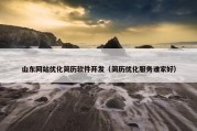山东网站优化简历软件开发（简历优化服务谁家好）