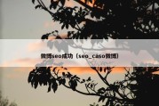 微博seo成功（seo_caso微博）