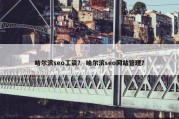 哈尔滨seo工资？ 哈尔滨seo网站管理？