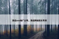 清远seo推广公司，清远网站优化专家