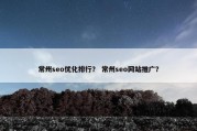 常州seo优化排行？ 常州seo网站推广？
