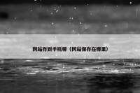 网站存到手机哪（网站保存在哪里）