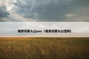 搜索引擎入口seo（搜索引擎入口官网）