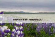 白城网站优化报价（白山网站优化）