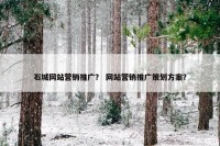 石城网站营销推广？ 网站营销推广策划方案？