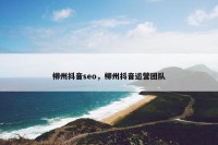 柳州抖音seo，柳州抖音运营团队