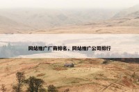 网站推广厂商排名，网站推广公司排行