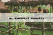 绍兴口碑好网站开发价格，绍兴网站上排名