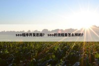 seo程序开发思路？ seo的流程是怎么样的？