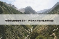 网站排名优化选哪家好？ 网站优化快速排名软件大全？