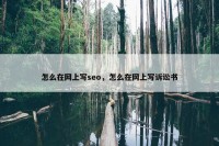 怎么在网上写seo，怎么在网上写诉讼书