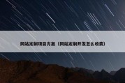 网站定制项目方案（网站定制开发怎么收费）