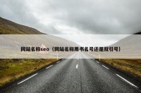 网站名称seo（网站名称用书名号还是双引号）
