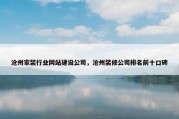 沧州家装行业网站建设公司，沧州装修公司排名前十口碑