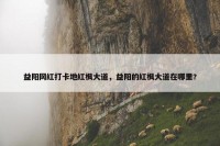 益阳网红打卡地红枫大道，益阳的红枫大道在哪里?
