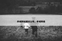 丰城网站建设公司，丰城网络