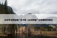 山东专业网站推广多少钱（山东网推广之家兼职好做吗）