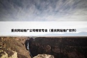 重庆网站推广公司哪家专业（重庆网站推广软件）