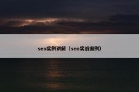 seo实例讲解（seo实战案例）