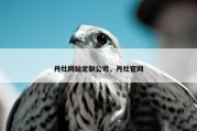 丹灶网站定制公司，丹灶官网